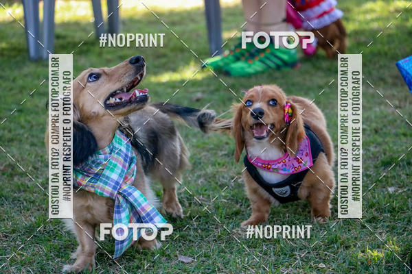 Compre suas fotos do eventoCo Joo - Festa Julina do Clube dos Salsichanos Ribeiro Preto no Fotop