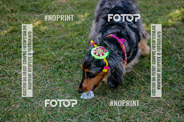 Compre suas fotos do eventoCo Joo - Festa Julina do Clube dos Salsichanos Ribeiro Preto no Fotop