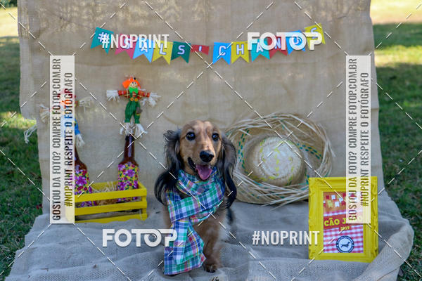 Compre suas fotos do eventoCo Joo - Festa Julina do Clube dos Salsichanos Ribeiro Preto no Fotop