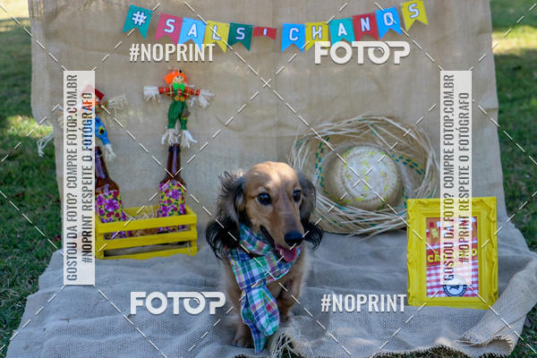 Compre suas fotos do eventoCo Joo - Festa Julina do Clube dos Salsichanos Ribeiro Preto no Fotop