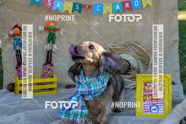 Compre suas fotos do eventoCo Joo - Festa Julina do Clube dos Salsichanos Ribeiro Preto no Fotop