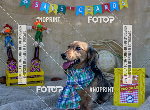 Compre suas fotos do eventoCo Joo - Festa Julina do Clube dos Salsichanos Ribeiro Preto no Fotop