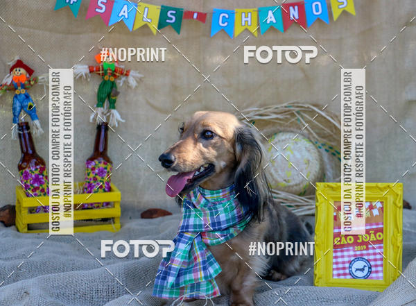 Compre suas fotos do eventoCo Joo - Festa Julina do Clube dos Salsichanos Ribeiro Preto no Fotop