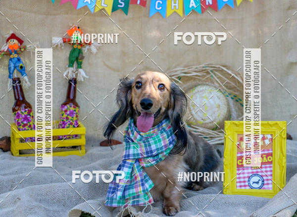 Compre suas fotos do eventoCo Joo - Festa Julina do Clube dos Salsichanos Ribeiro Preto no Fotop