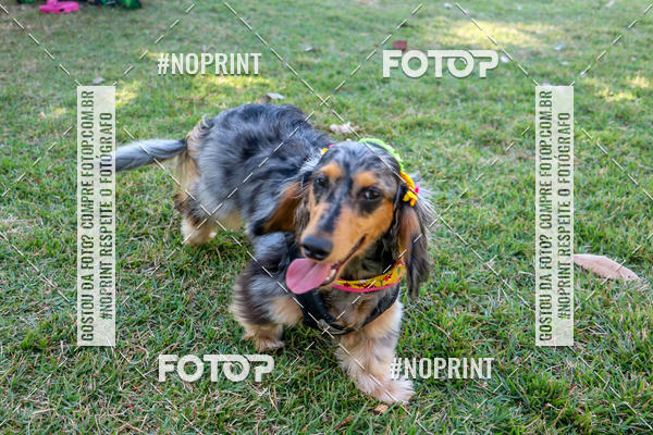 Compre suas fotos do eventoCo Joo - Festa Julina do Clube dos Salsichanos Ribeiro Preto no Fotop