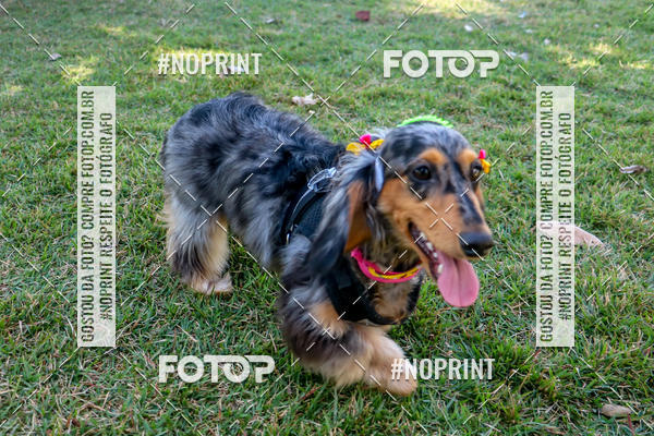 Compre suas fotos do eventoCo Joo - Festa Julina do Clube dos Salsichanos Ribeiro Preto no Fotop