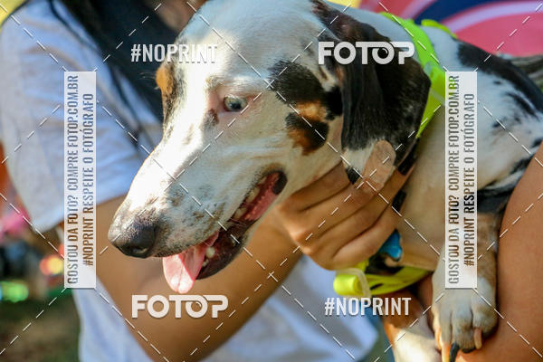 Compre suas fotos do eventoCo Joo - Festa Julina do Clube dos Salsichanos Ribeiro Preto no Fotop