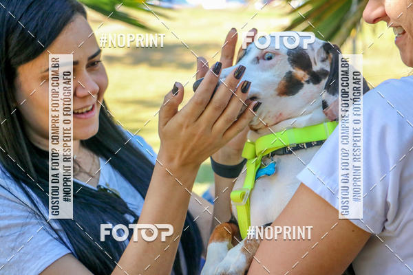 Compre suas fotos do eventoCo Joo - Festa Julina do Clube dos Salsichanos Ribeiro Preto no Fotop