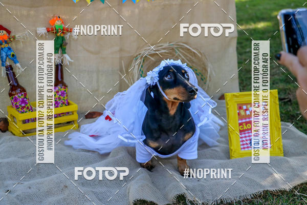 Compre suas fotos do eventoCo Joo - Festa Julina do Clube dos Salsichanos Ribeiro Preto no Fotop