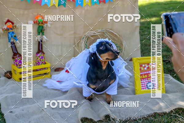 Compre suas fotos do eventoCo Joo - Festa Julina do Clube dos Salsichanos Ribeiro Preto no Fotop