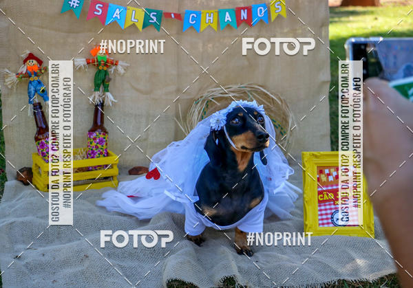 Compre suas fotos do eventoCo Joo - Festa Julina do Clube dos Salsichanos Ribeiro Preto no Fotop