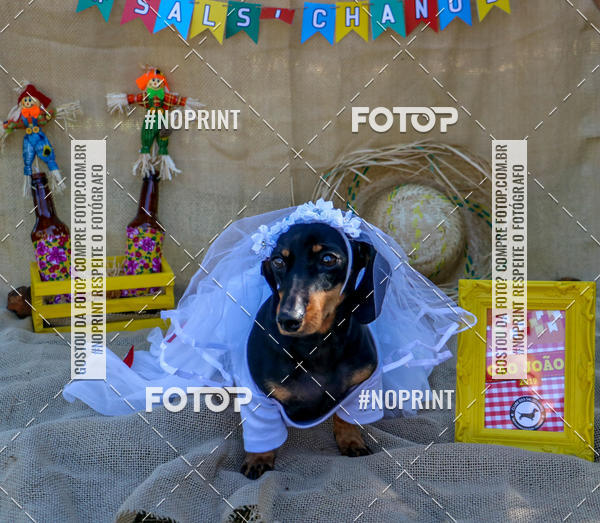 Compre suas fotos do eventoCo Joo - Festa Julina do Clube dos Salsichanos Ribeiro Preto no Fotop