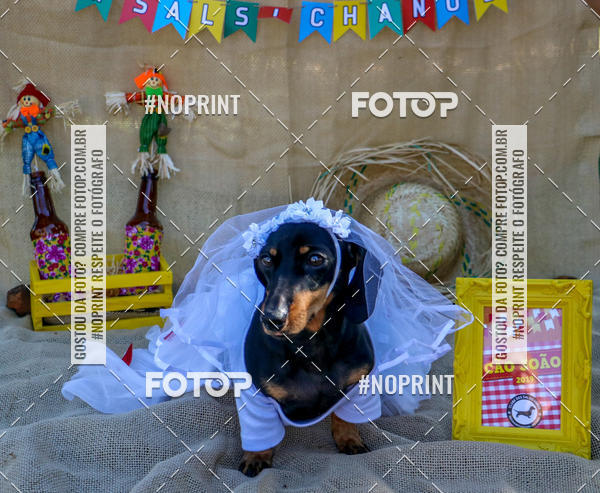 Compre suas fotos do eventoCo Joo - Festa Julina do Clube dos Salsichanos Ribeiro Preto no Fotop