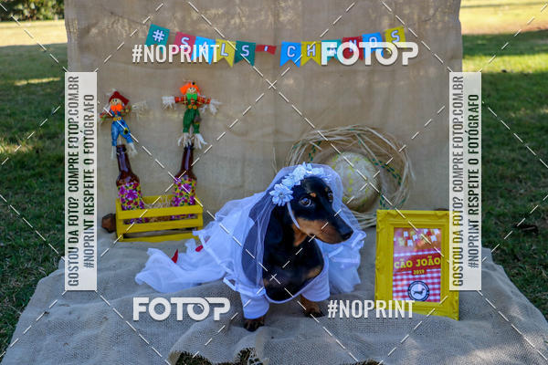 Compre suas fotos do eventoCo Joo - Festa Julina do Clube dos Salsichanos Ribeiro Preto no Fotop