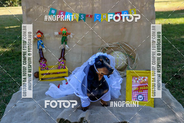 Compre suas fotos do eventoCo Joo - Festa Julina do Clube dos Salsichanos Ribeiro Preto no Fotop