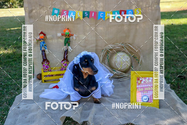 Compre suas fotos do eventoCo Joo - Festa Julina do Clube dos Salsichanos Ribeiro Preto no Fotop