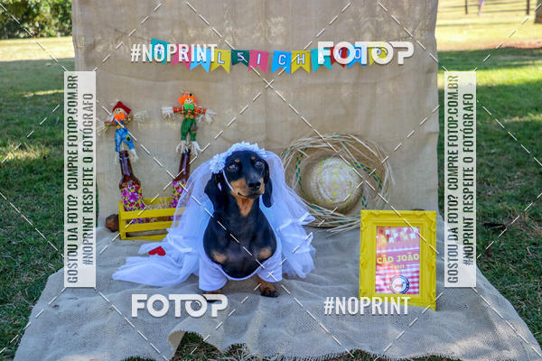 Compre suas fotos do eventoCo Joo - Festa Julina do Clube dos Salsichanos Ribeiro Preto no Fotop