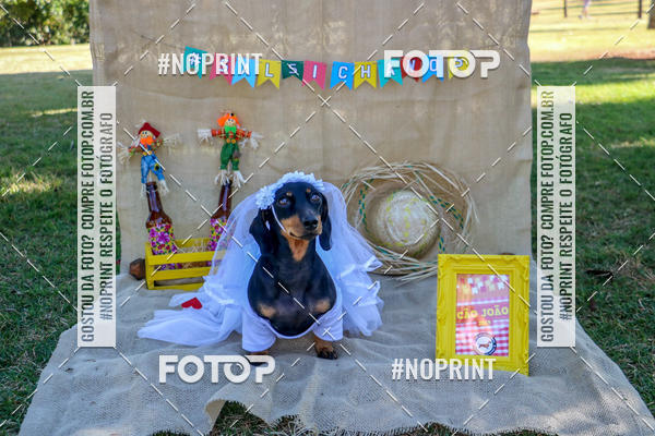 Compre suas fotos do eventoCo Joo - Festa Julina do Clube dos Salsichanos Ribeiro Preto no Fotop