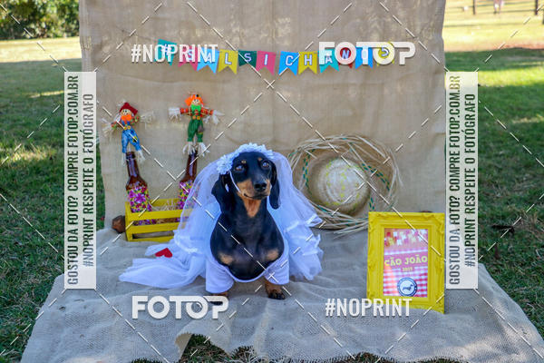 Compre suas fotos do eventoCo Joo - Festa Julina do Clube dos Salsichanos Ribeiro Preto no Fotop