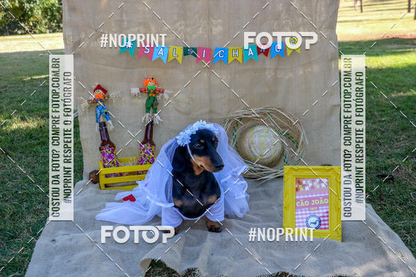 Compre suas fotos do eventoCo Joo - Festa Julina do Clube dos Salsichanos Ribeiro Preto no Fotop