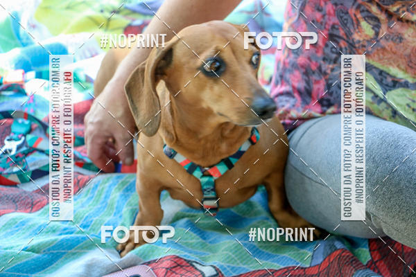 Compre suas fotos do eventoCo Joo - Festa Julina do Clube dos Salsichanos Ribeiro Preto no Fotop