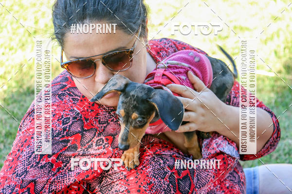 Compre suas fotos do eventoCo Joo - Festa Julina do Clube dos Salsichanos Ribeiro Preto no Fotop