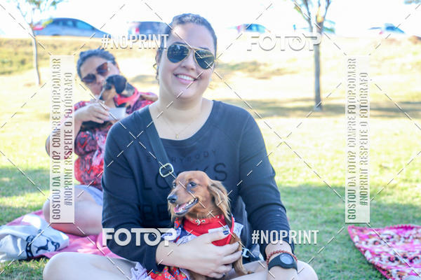 Compre suas fotos do eventoCo Joo - Festa Julina do Clube dos Salsichanos Ribeiro Preto no Fotop