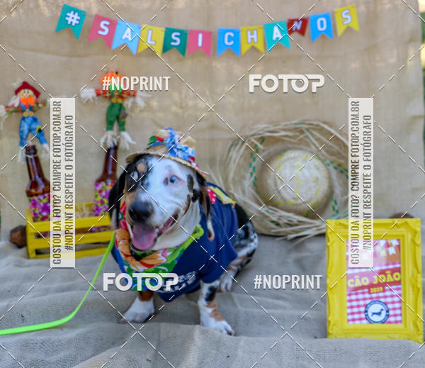 Compre suas fotos do eventoCo Joo - Festa Julina do Clube dos Salsichanos Ribeiro Preto no Fotop