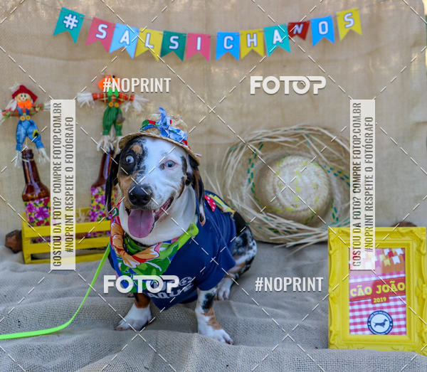 Compre suas fotos do eventoCo Joo - Festa Julina do Clube dos Salsichanos Ribeiro Preto no Fotop