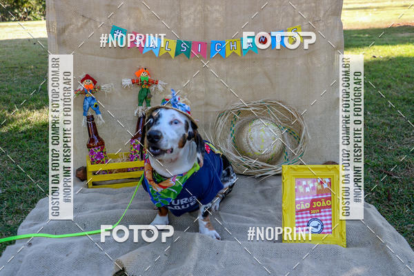 Compre suas fotos do eventoCo Joo - Festa Julina do Clube dos Salsichanos Ribeiro Preto no Fotop