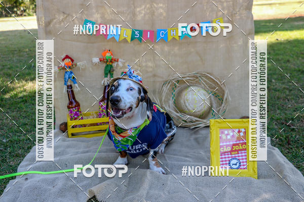 Compre suas fotos do eventoCo Joo - Festa Julina do Clube dos Salsichanos Ribeiro Preto no Fotop