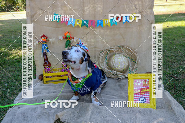 Compre suas fotos do eventoCo Joo - Festa Julina do Clube dos Salsichanos Ribeiro Preto no Fotop