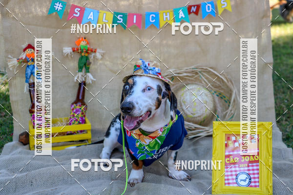 Compre suas fotos do eventoCo Joo - Festa Julina do Clube dos Salsichanos Ribeiro Preto no Fotop