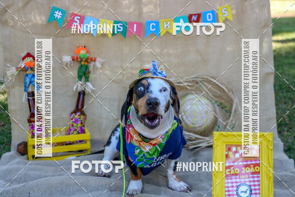 Compre suas fotos do eventoCo Joo - Festa Julina do Clube dos Salsichanos Ribeiro Preto no Fotop