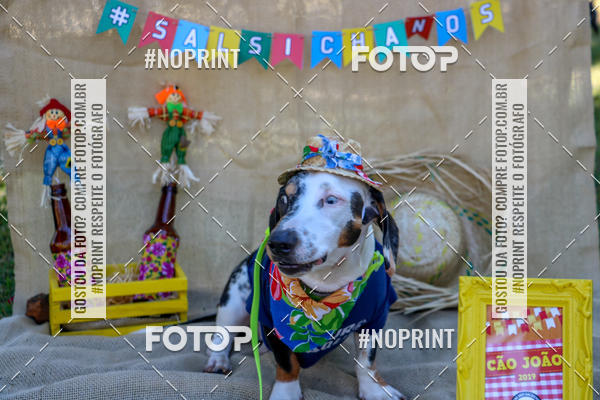 Compre suas fotos do eventoCo Joo - Festa Julina do Clube dos Salsichanos Ribeiro Preto no Fotop