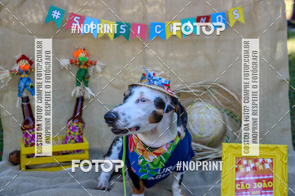 Compre suas fotos do eventoCo Joo - Festa Julina do Clube dos Salsichanos Ribeiro Preto no Fotop