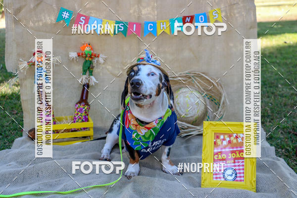 Compre suas fotos do eventoCo Joo - Festa Julina do Clube dos Salsichanos Ribeiro Preto no Fotop