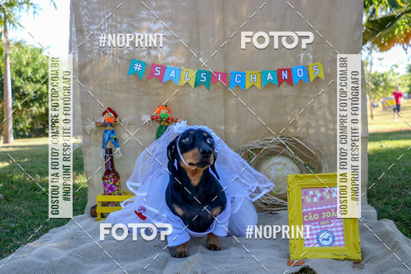 Compre suas fotos do eventoCo Joo - Festa Julina do Clube dos Salsichanos Ribeiro Preto no Fotop