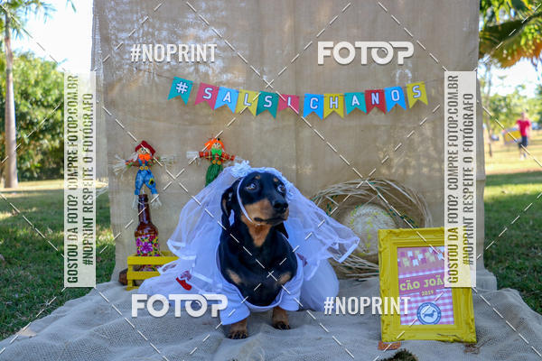 Compre suas fotos do eventoCo Joo - Festa Julina do Clube dos Salsichanos Ribeiro Preto no Fotop