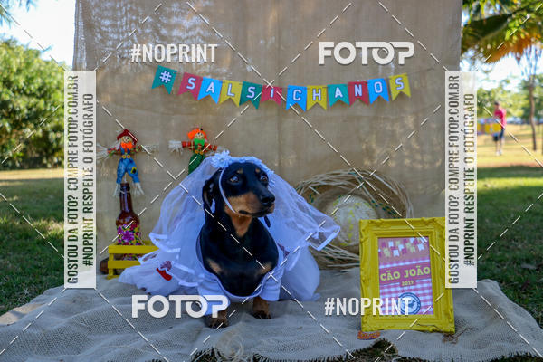 Compre suas fotos do eventoCo Joo - Festa Julina do Clube dos Salsichanos Ribeiro Preto no Fotop