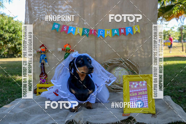 Compre suas fotos do eventoCo Joo - Festa Julina do Clube dos Salsichanos Ribeiro Preto no Fotop