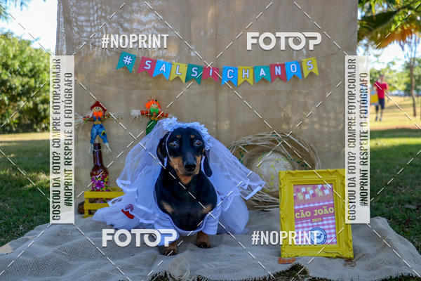 Compre suas fotos do eventoCo Joo - Festa Julina do Clube dos Salsichanos Ribeiro Preto no Fotop