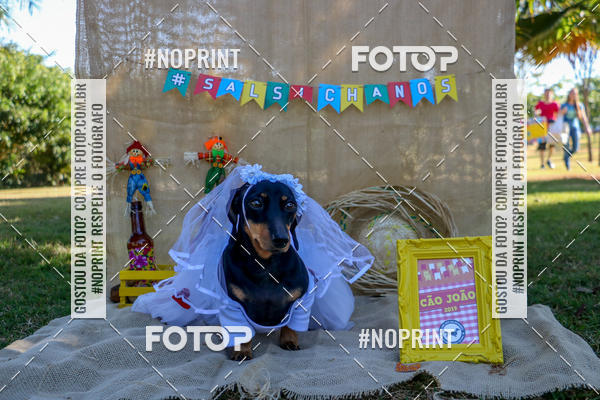 Compre suas fotos do eventoCo Joo - Festa Julina do Clube dos Salsichanos Ribeiro Preto no Fotop