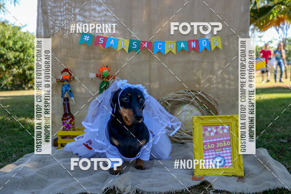 Compre suas fotos do eventoCo Joo - Festa Julina do Clube dos Salsichanos Ribeiro Preto no Fotop