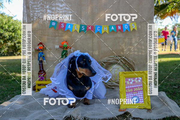 Compre suas fotos do eventoCo Joo - Festa Julina do Clube dos Salsichanos Ribeiro Preto no Fotop