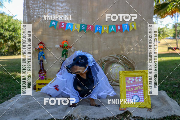 Compre suas fotos do eventoCo Joo - Festa Julina do Clube dos Salsichanos Ribeiro Preto no Fotop