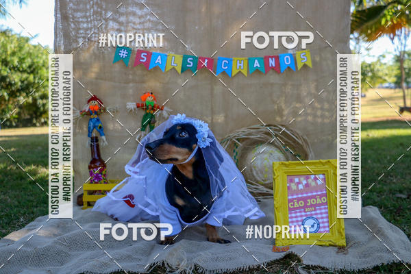 Compre suas fotos do eventoCo Joo - Festa Julina do Clube dos Salsichanos Ribeiro Preto no Fotop