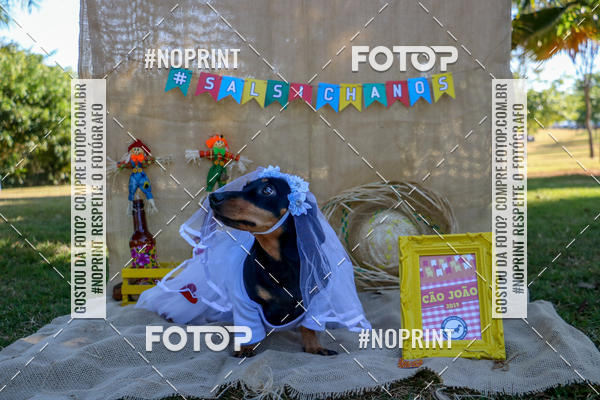 Compre suas fotos do eventoCo Joo - Festa Julina do Clube dos Salsichanos Ribeiro Preto no Fotop