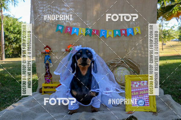 Compre suas fotos do eventoCo Joo - Festa Julina do Clube dos Salsichanos Ribeiro Preto no Fotop