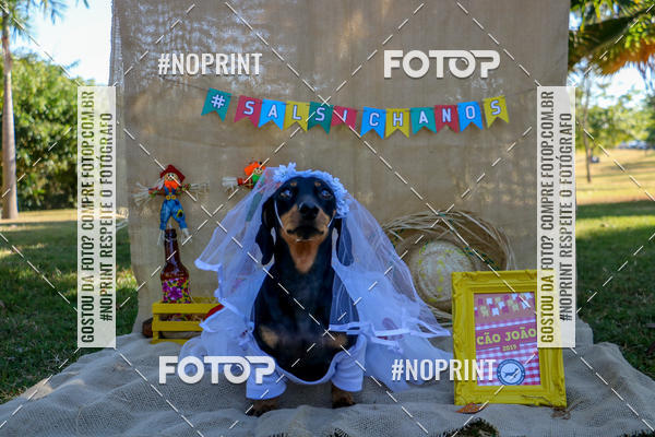 Compre suas fotos do eventoCo Joo - Festa Julina do Clube dos Salsichanos Ribeiro Preto no Fotop